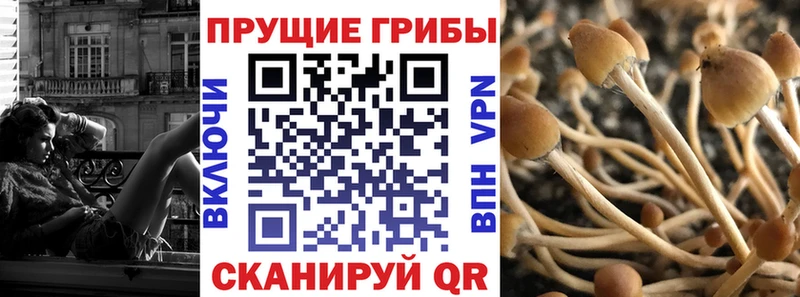 Галлюциногенные грибы ЛСД Купить Москва